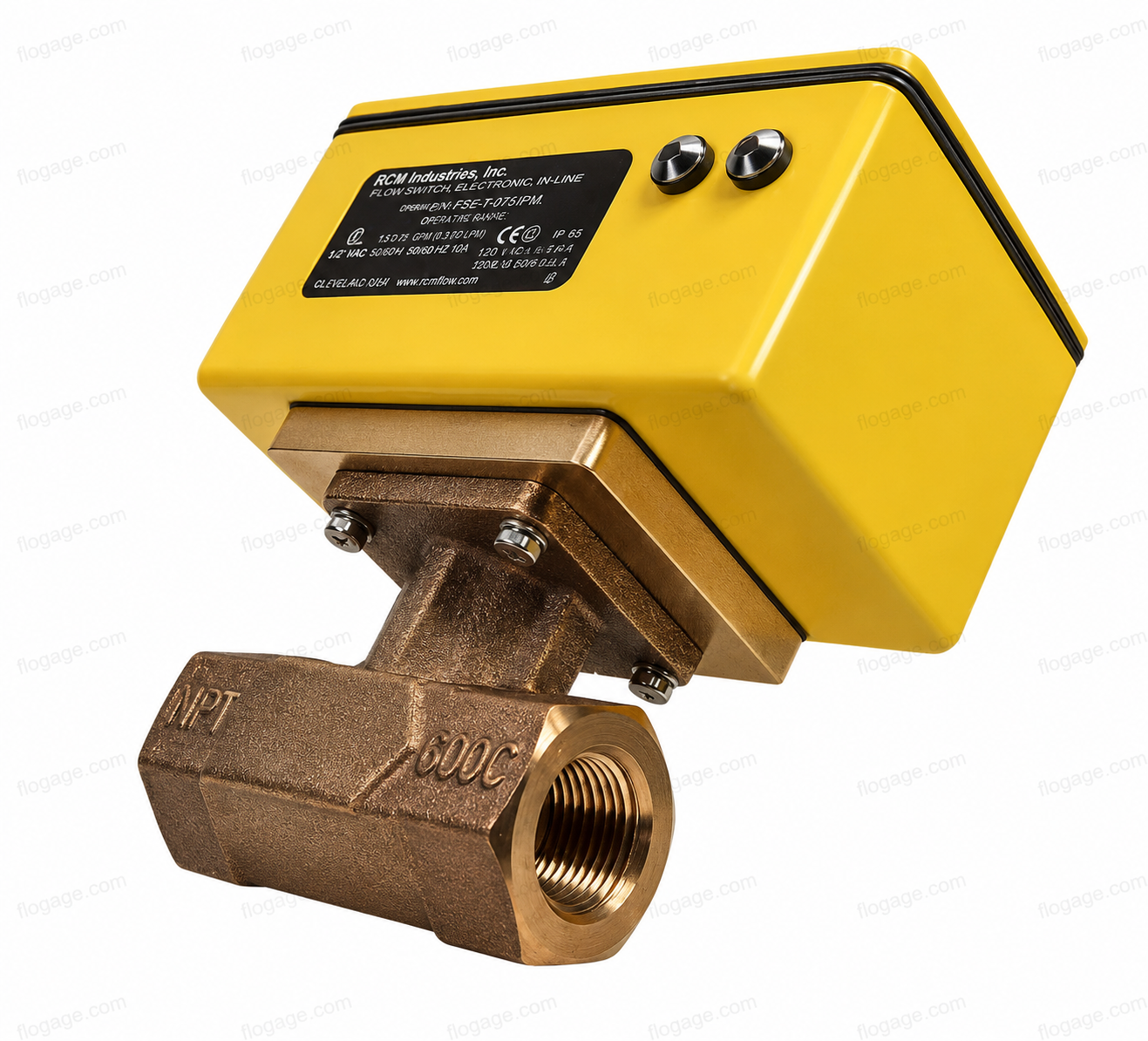 Flow Switches